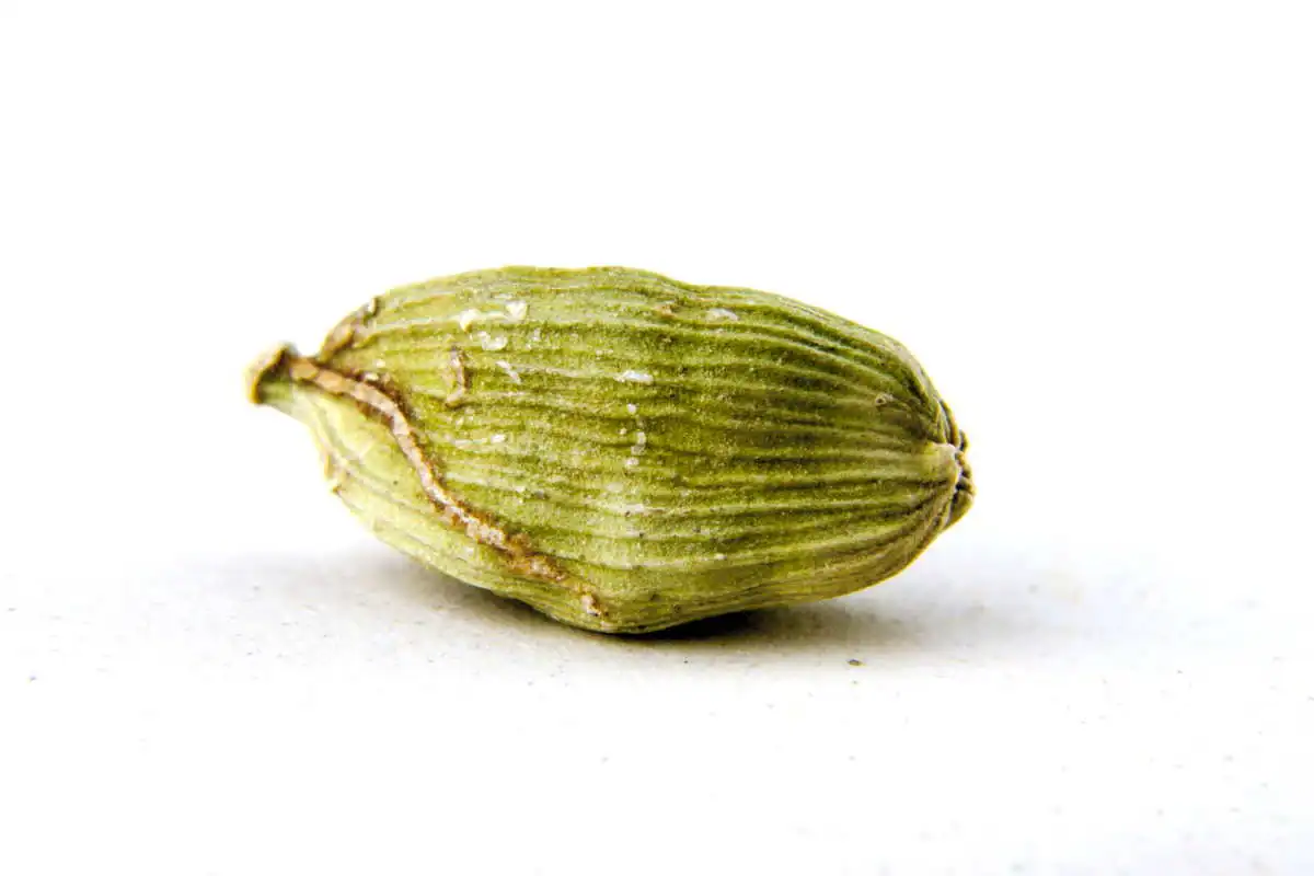 Cardamome verte 1
