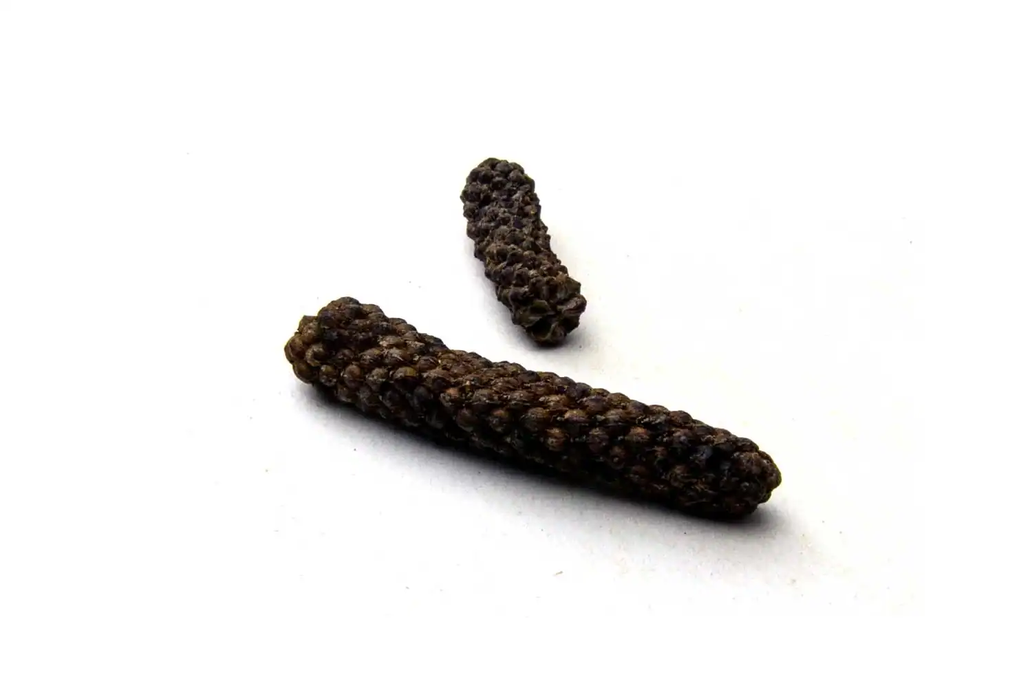 Fleurs colorées et nature au Fossé Fleuri, espace floral et détente en région wallonne.